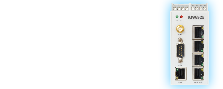 IGW/925: VPN Remote Access Gateway mit 4-fach-Switch und GPRS/UMTS
