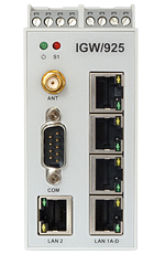 VPN Remote Access Gateway IGW/925