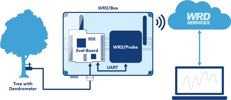 Diagram of the field test setup with WRD/Box and WRD/Probe plus evaluation board