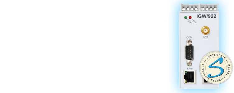 IGW/922: VPN Remote Access Gateway with GPRS and UMTS