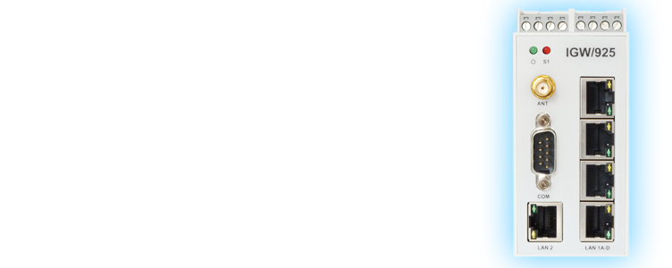 IGW/925: VPN Remote Access Gateway with 4-Port Switch and GPRS/UMTS